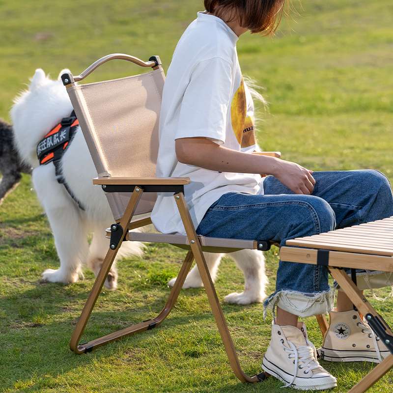 アウトドアチェア 折りたたみ式アウトドアローチェア
